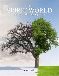 Cover The Spirit World from a Christian Perspective (eBook, ePUB)