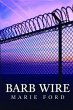 Barb Wire (eBook, ePUB) - Bild 1