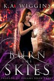 Burn the Skies (eBook, ePUB)