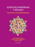 Justicias indígenas y Estado (eBook, ePUB)
