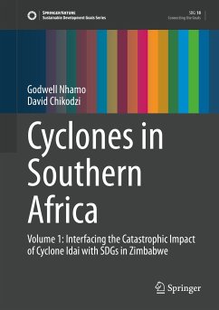 Cyclones in Southern Africa (eBook, PDF) - Nhamo, Godwell; Chikodzi, David