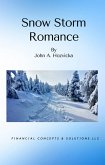 Snow Storm Romance (eBook, ePUB)