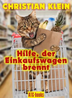 Hilfe, der Einkaufswagen brennt! (eBook, ePUB) - Klein, Christian