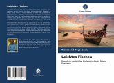 Leichtes Fischen