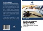 Die Einrichtung des Internationalen Strafgerichtshofs