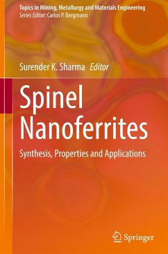 Spinel Nanoferrites