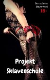 Projekt Sklavenschule (eBook, ePUB)
