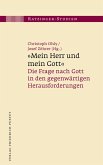 &quote;Mein Herr und mein Gott&quote; (eBook, PDF)