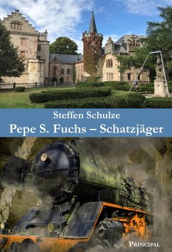 Cover Pepe S. Fuchs - Schatzjäger (eBook, ePUB)