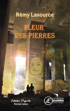 Fleur des pierres (eBook, ePUB) - Lasource, Rémy