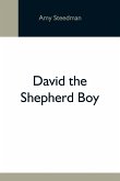 David The Shepherd Boy