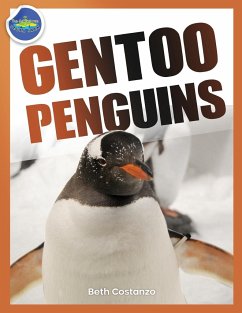 Gentoo Penguins activity workbook ages 4-8 - Costanzo, Beth