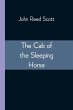 The Cab of the Sleeping Horse - Bild 1