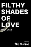 Filthy Shades of Love: Draft 17.53
