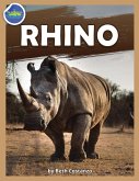 Rhino workbook ages 2-4