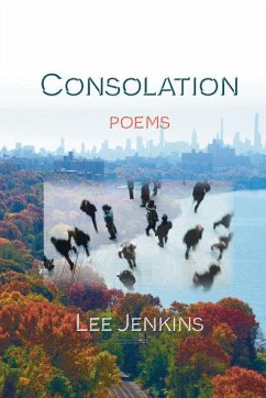 Consolation; Poems - Jenkins, Lee