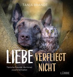 Liebe verfliegt nicht (Mängelexemplar) - Brandt, Tanja
