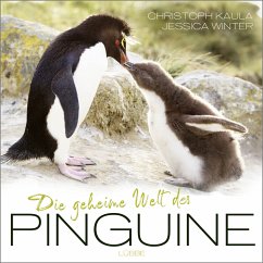 Die geheime Welt der Pinguine (Mängelexemplar) - Winter, Jessica;Kaula, Christoph