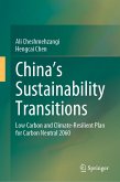 China's Sustainability Transitions (eBook, PDF)