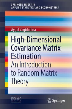 High-Dimensional Covariance Matrix Estimation - Zagidullina, Aygul