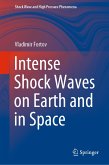 Intense Shock Waves on Earth and in Space (eBook, PDF)