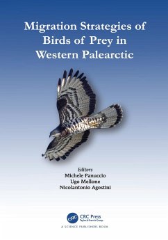 Cover Migration Strategies of Birds of Prey in Western Palearctic (eBook, PDF)