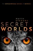 Secret Worlds (eBook, ePUB)
