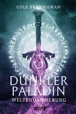 Dunkler Paladin (eBook, PDF)