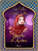 Storia di Amina (Le Mille e Una Notte 16) (eBook, ePUB)