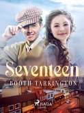 Seventeen (eBook, ePUB) Seventeen (eBook, ePUB)