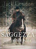 La saggezza della pista (eBook, ePUB)