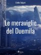 Le meraviglie del Duemila (eBook, ePUB) - Bild 1