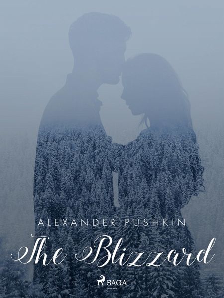 The Blizzard (eBook, ePUB)