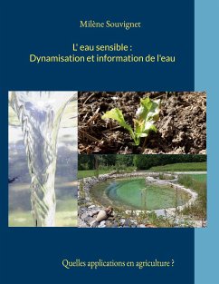 L'eau sensible : Dynamisation et information de l'eau - Souvignet, Milène