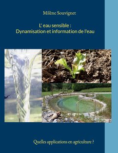 L'eau sensible : Dynamisation et information de l'eau