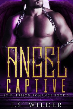 Angel Captive (SciFi Prison Romance, #3) (eBook, ePUB) - Wilder, J. S.