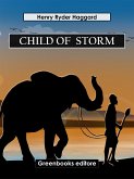 Child Of Storm (eBook, ePUB)