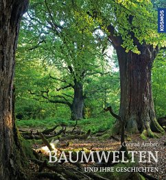 Baumwelten (eBook, PDF) - Amber, Conrad