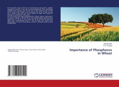 Importance of Phosphorus in Wheat
