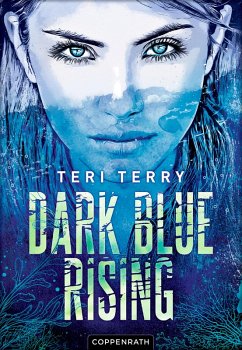 Dark Blue Rising Bd.1 (eBook, ePUB) - Terry, Teri