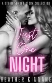 Just One Night (eBook, ePUB)