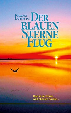 Der blauen Sterne Flug (eBook, ePUB)