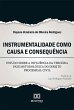 Instrumentalidade como causa e... - Bild 1