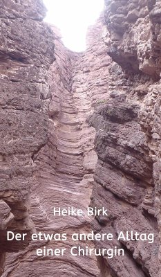 Der etwas andere Alltag einer Chirurgin (eBook, ePUB) - Birk, Heike