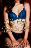 No One Needs to Know (eBook, ePUB)