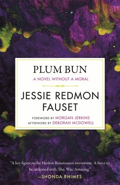 Plum Bun - Fauset, Jessi Redmon