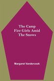 The Camp Fire Girls Amid The Snows
