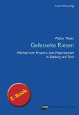 Gefesselte Riesen (eBook, PDF)