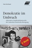 Demokratie im Umbruch (eBook, PDF)