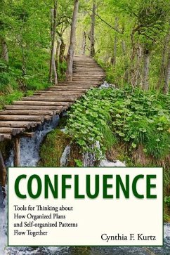 Confluence: Tools for Thinking about How Organized Plans and Self-organized Patterns Flow Together - Kurtz, Cynthia F.